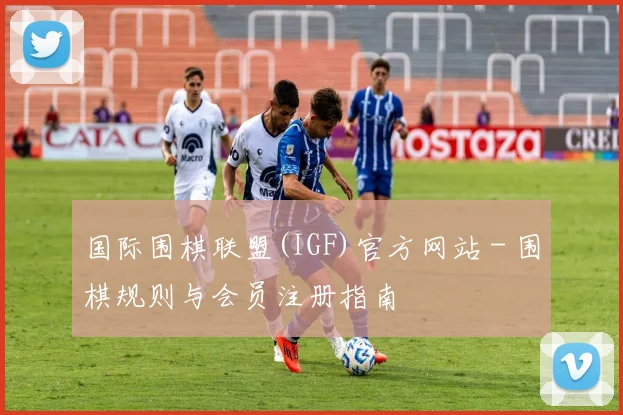 国际围棋联盟(IGF)官方网站 - 围棋规则与会员注册指南