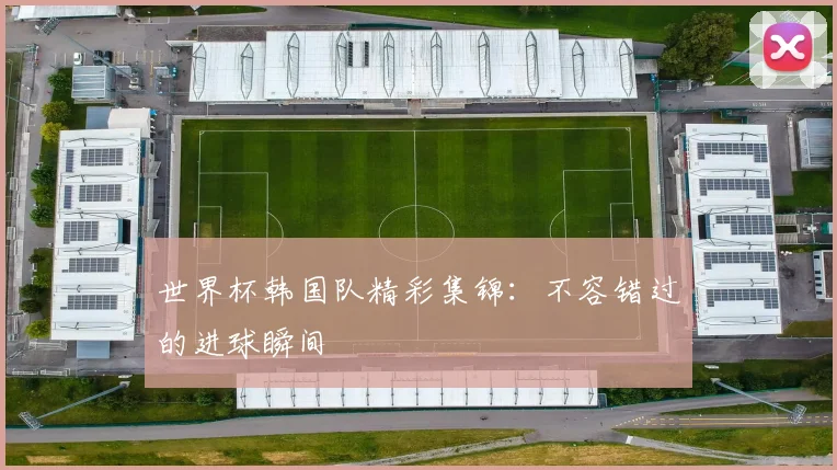 世界杯韩国队精彩集锦：不容错过的进球瞬间
