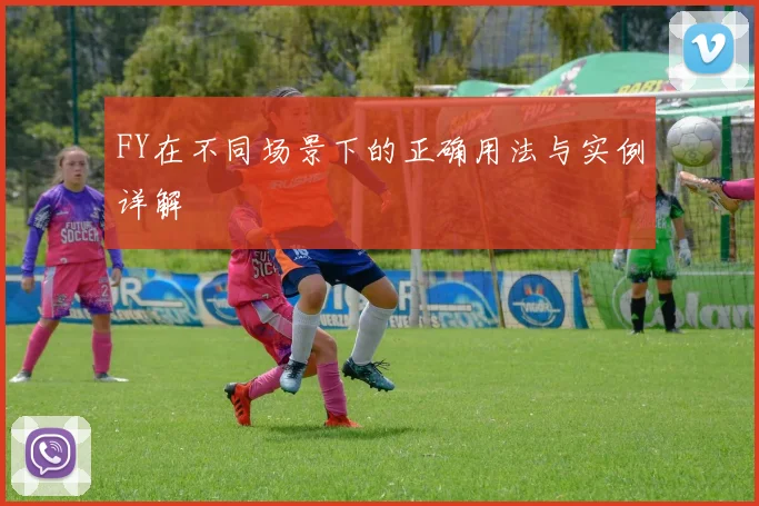 FY在不同场景下的正确用法与实例详解