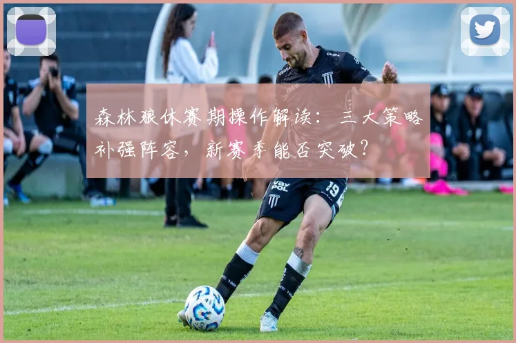 森林狼休赛期操作解读:三大策略补强阵容,新赛季能否突破?