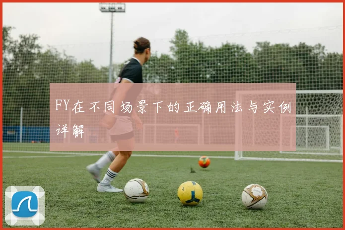 FY在不同场景下的正确用法与实例详解